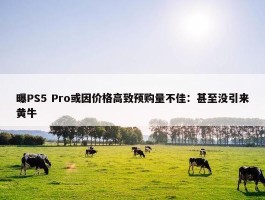 曝PS5 Pro或因价格高致预购量不佳：甚至没引来黄牛