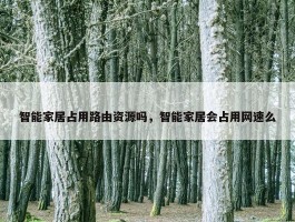 智能家居占用路由资源吗，智能家居会占用网速么