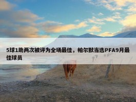 5球1助两次被评为全场最佳，帕尔默当选PFA9月最佳球员