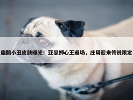 扁鹊小丑皮肤曝光！亚瑟狮心王返场，庄周迎来传说限定