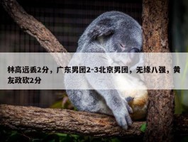 林高远丢2分，广东男团2-3北京男团，无缘八强，黄友政砍2分