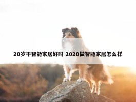 20岁干智能家居好吗 2020做智能家居怎么样