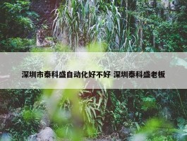 深圳市泰科盛自动化好不好 深圳泰科盛老板