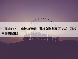 三国志11：三皇惊鸿登场！曹操刘备都乐开了花，孙权气得想掀桌！