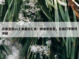 云南玉昆vs上海嘉定汇龙：穆谢奎首发，云南打平即可冲超