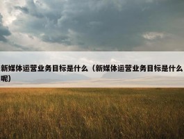 新媒体运营业务目标是什么（新媒体运营业务目标是什么呢）