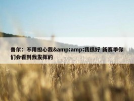 普尔：不用担心我&amp;我很好 新赛季你们会看到我发挥的