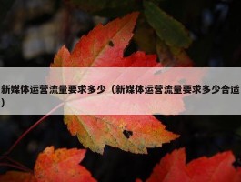 新媒体运营流量要求多少（新媒体运营流量要求多少合适）