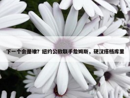 下一个会是谁？纽约公敌联手詹姆斯，硬汉搭档库里