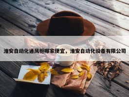 淮安自动化通风柜哪家便宜，淮安自动化设备有限公司