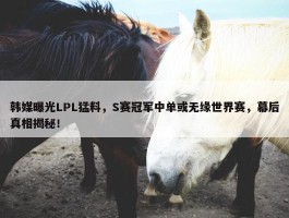 韩媒曝光LPL猛料，S赛冠军中单或无缘世界赛，幕后真相揭秘！