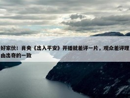 好家伙！肖央《出入平安》开播就差评一片，观众差评理由出奇的一致