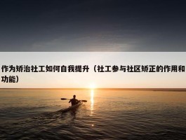 作为矫治社工如何自我提升（社工参与社区矫正的作用和功能）