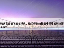 鹈鹕官宣签下三名球员，他们得到的都是非保障的训练营合同？