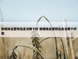 新媒体运营和信息流哪个好 新媒体运营和信息流哪个好做