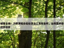 暖爆全场！刀郎演唱会后给清洁工发钛金杯，全网直呼感动到泪目