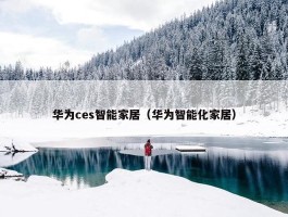 华为ces智能家居（华为智能化家居）