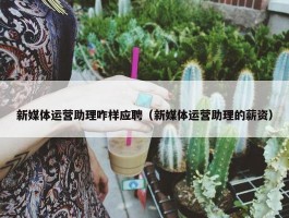 新媒体运营助理咋样应聘（新媒体运营助理的薪资）