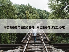 不装宽带能用智能家居吗（不装宽带可以装监控吗）