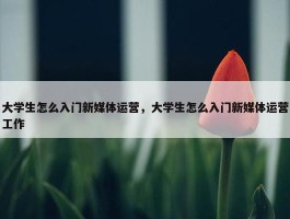 大学生怎么入门新媒体运营，大学生怎么入门新媒体运营工作