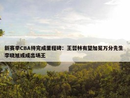 新赛季CBA待完成里程碑：王哲林有望加冕万分先生 李晓旭或成出场王