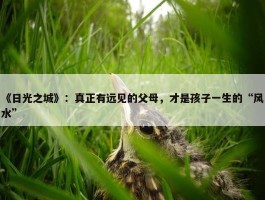 《日光之城》：真正有远见的父母，才是孩子一生的“风水”