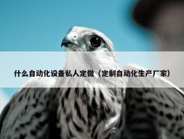 什么自动化设备私人定做（定制自动化生产厂家）