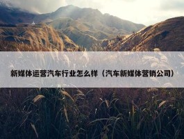 新媒体运营汽车行业怎么样（汽车新媒体营销公司）