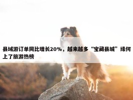 县域游订单同比增长20%，越来越多“宝藏县城”缘何上了旅游热榜