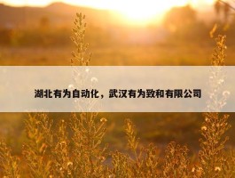 湖北有为自动化，武汉有为致和有限公司