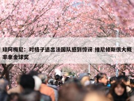 琼阿梅尼：对格子退出法国队感到惊讶 维尼修斯很大概率拿金球奖