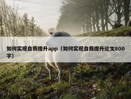 如何实现自我提升app（如何实现自我提升论文800字）