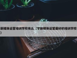 新媒体运营培训学校有么（学新媒体运营最好的培训学校）