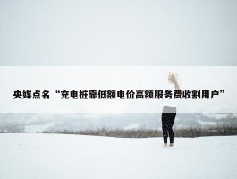 央媒点名“充电桩靠低额电价高额服务费收割用户”