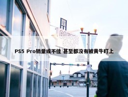 PS5 Pro销量或不佳 甚至都没有被黄牛盯上