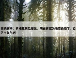 锦绣安宁：罗成章职位曝光，明白蒋家为啥要退婚了，自己不争气啊