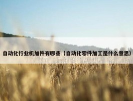 自动化行业机加件有哪些（自动化零件加工是什么意思）