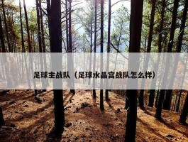 足球主战队（足球水晶宫战队怎么样）