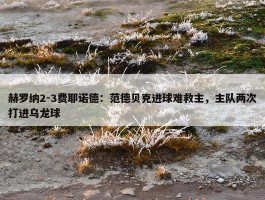 赫罗纳2-3费耶诺德：范德贝克进球难救主，主队两次打进乌龙球