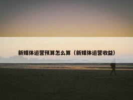 新媒体运营预算怎么算（新媒体运营收益）