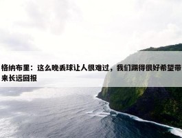 格纳布里：这么晚丢球让人很难过，我们踢得很好希望带来长远回报