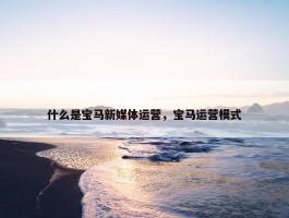 什么是宝马新媒体运营，宝马运营模式