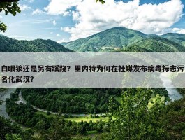 白眼狼还是另有蹊跷？里内特为何在社媒发布病毒标志污名化武汉？