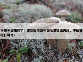 同曦今夏赚翻了！四新援加盟补强后卫锋线内线，季后赛指日可待！