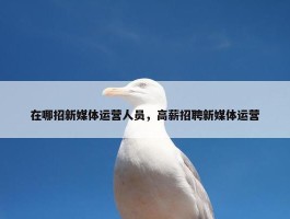 在哪招新媒体运营人员，高薪招聘新媒体运营