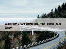 苹果低端Vision头显被曝明年上市：处理器_摄像头缩水