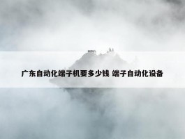 广东自动化端子机要多少钱 端子自动化设备