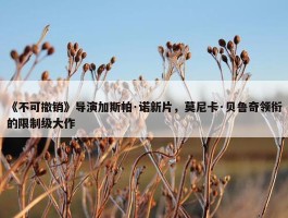 《不可撤销》导演加斯帕·诺新片，莫尼卡·贝鲁奇领衔的限制级大作