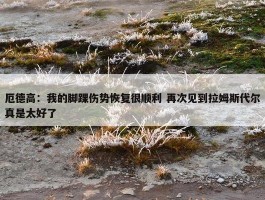 厄德高：我的脚踝伤势恢复很顺利 再次见到拉姆斯代尔真是太好了