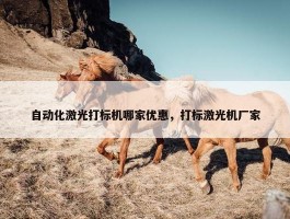 自动化激光打标机哪家优惠，打标激光机厂家